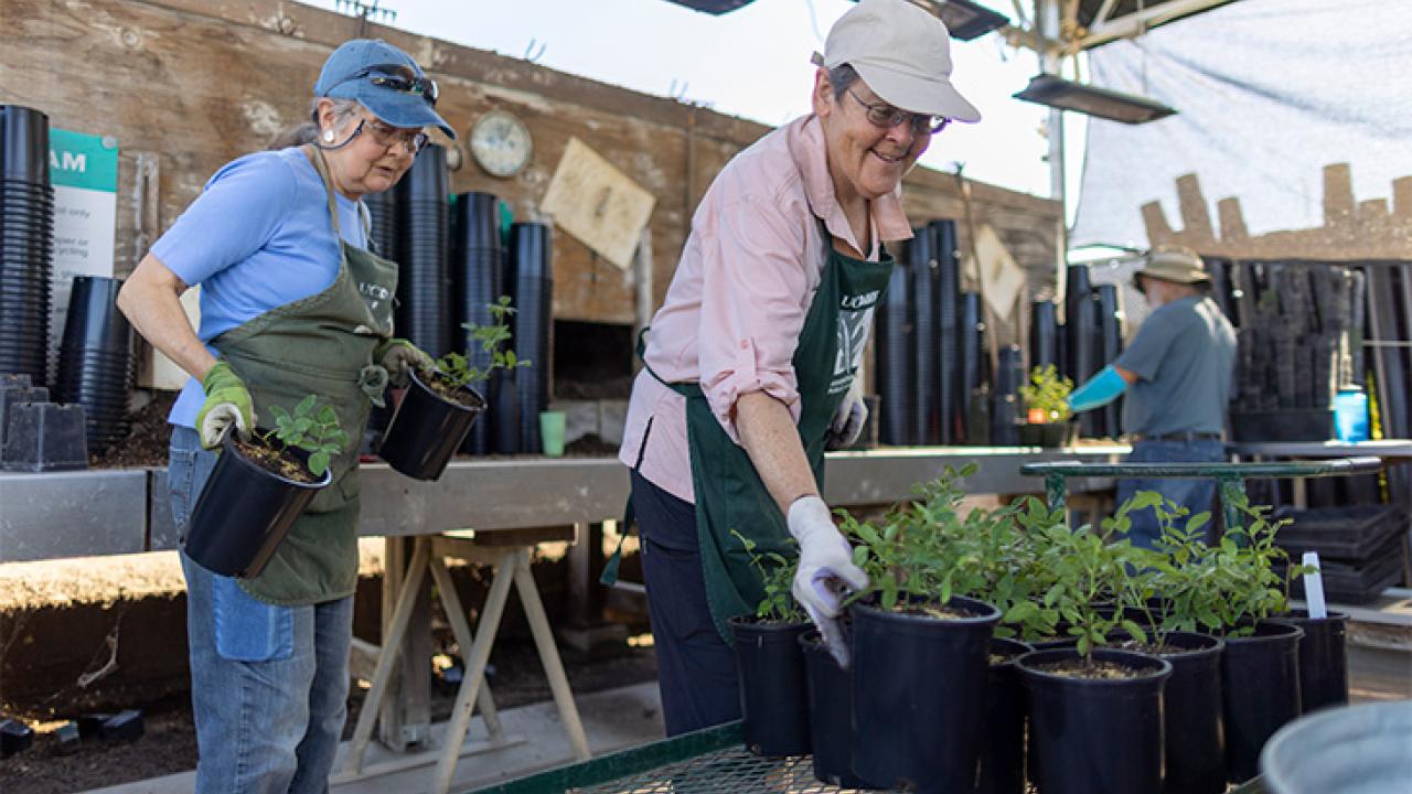senior volunteers smiling